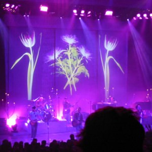 Koncert