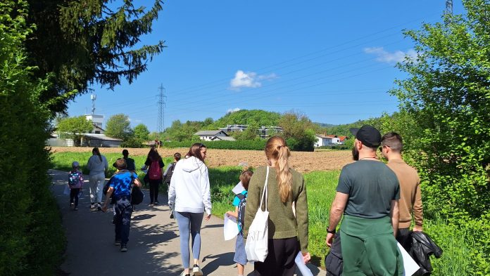 Prostovoljstvo na zavodu MISSS